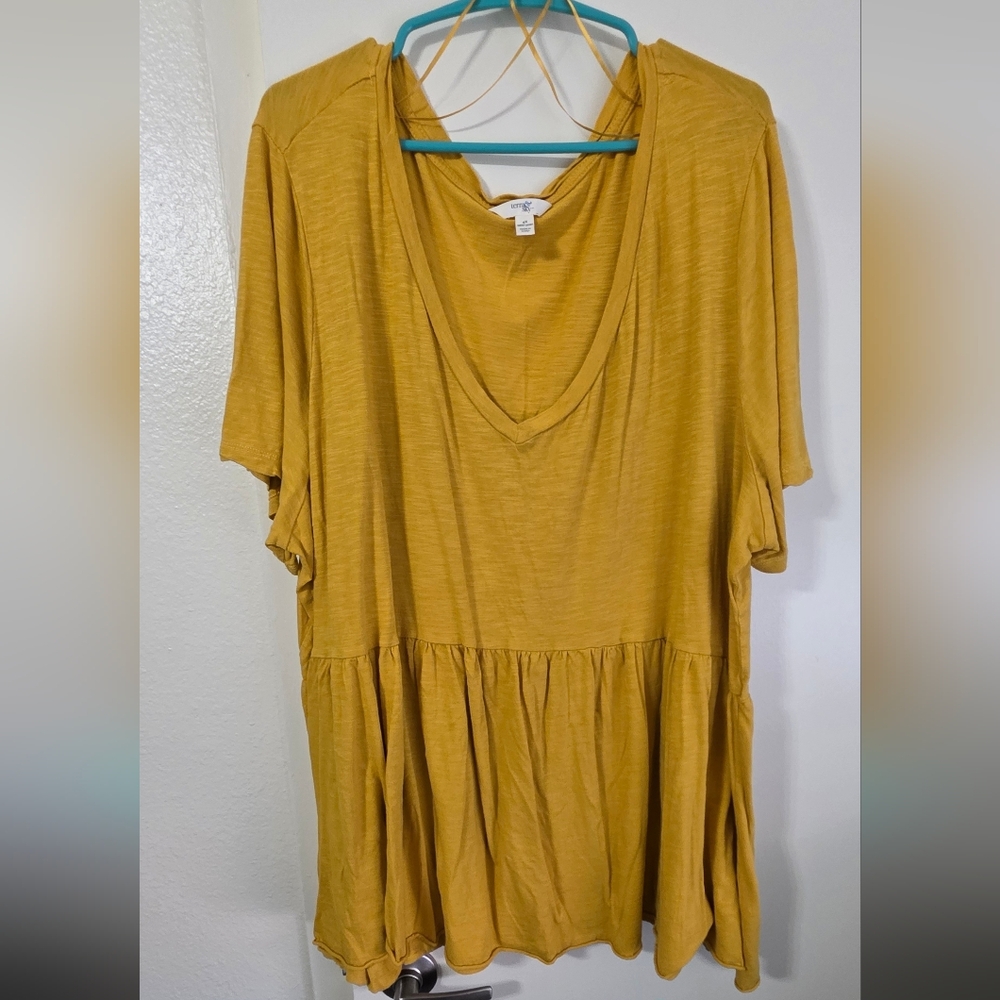 Terra & Sky Mustard Tunic Top